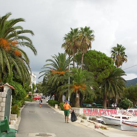 Apartment Begonia Of Kumbor Herceg Novi Exteriör bild