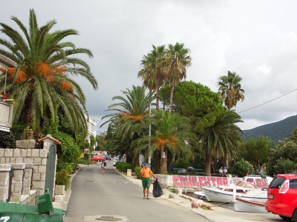 Apartment Begonia Of Kumbor Herceg Novi Exteriör bild