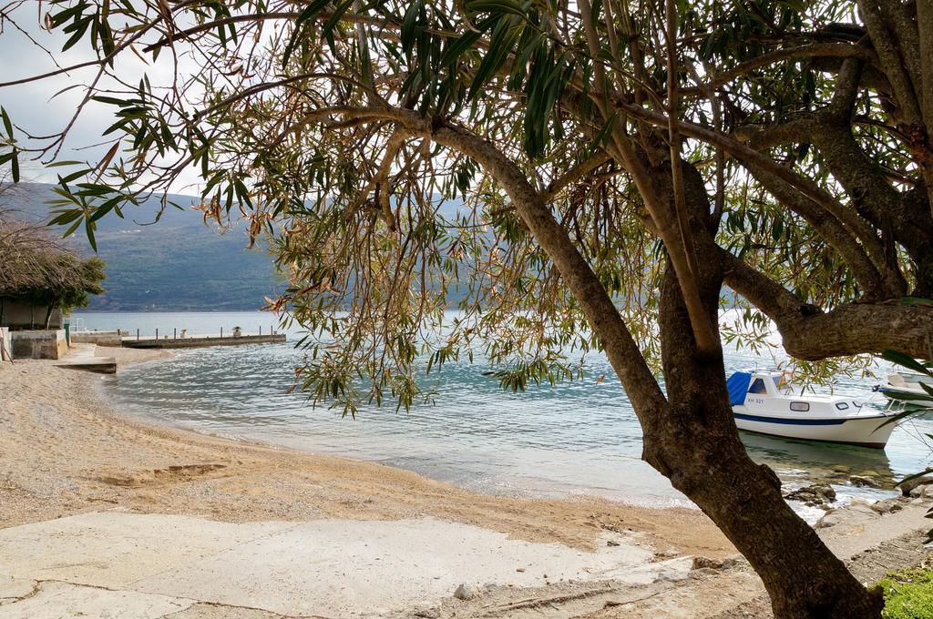 Apartment Begonia Of Kumbor Herceg Novi Exteriör bild
